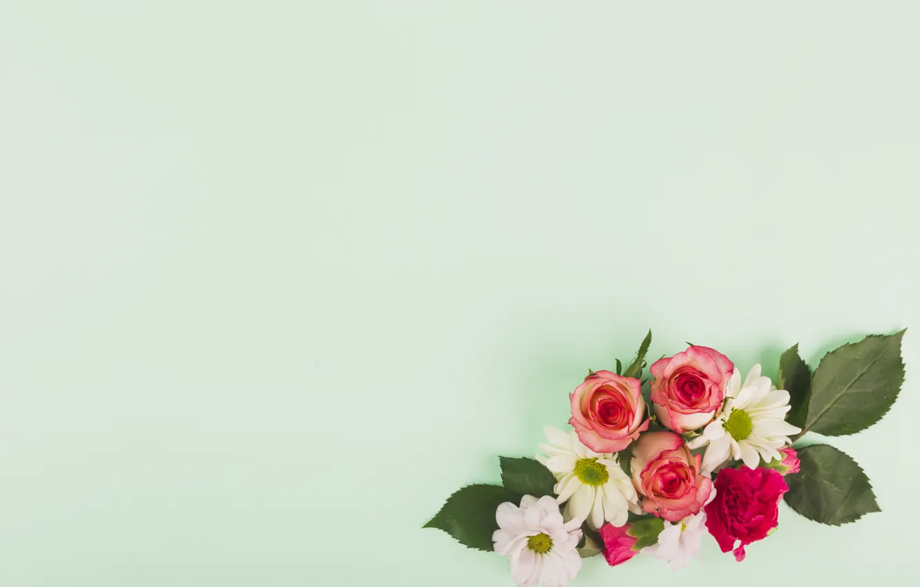 Photo wallpaper roses, bouquet, composition, floral