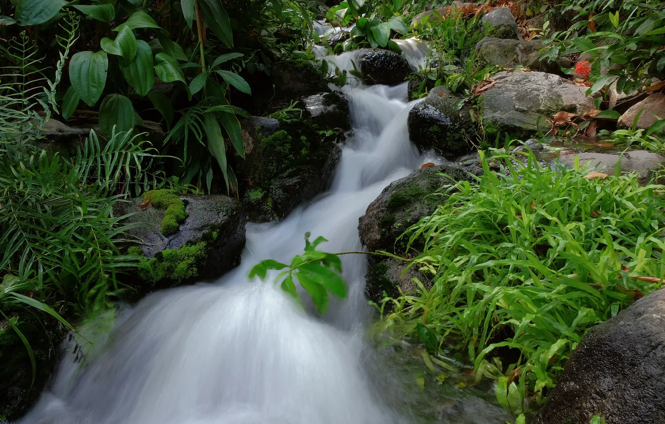 Photo wallpaper stream, stones, stream