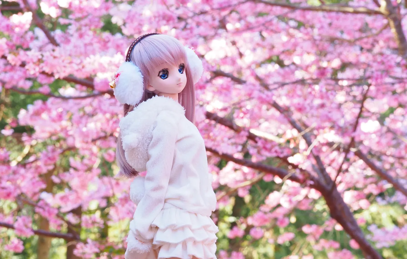 Photo wallpaper toy, doll, headphones, Sakura
