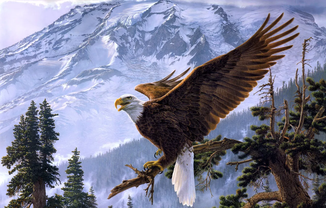 Photo wallpaper mountains, tree, art, eagle, Lee Kromschroeder