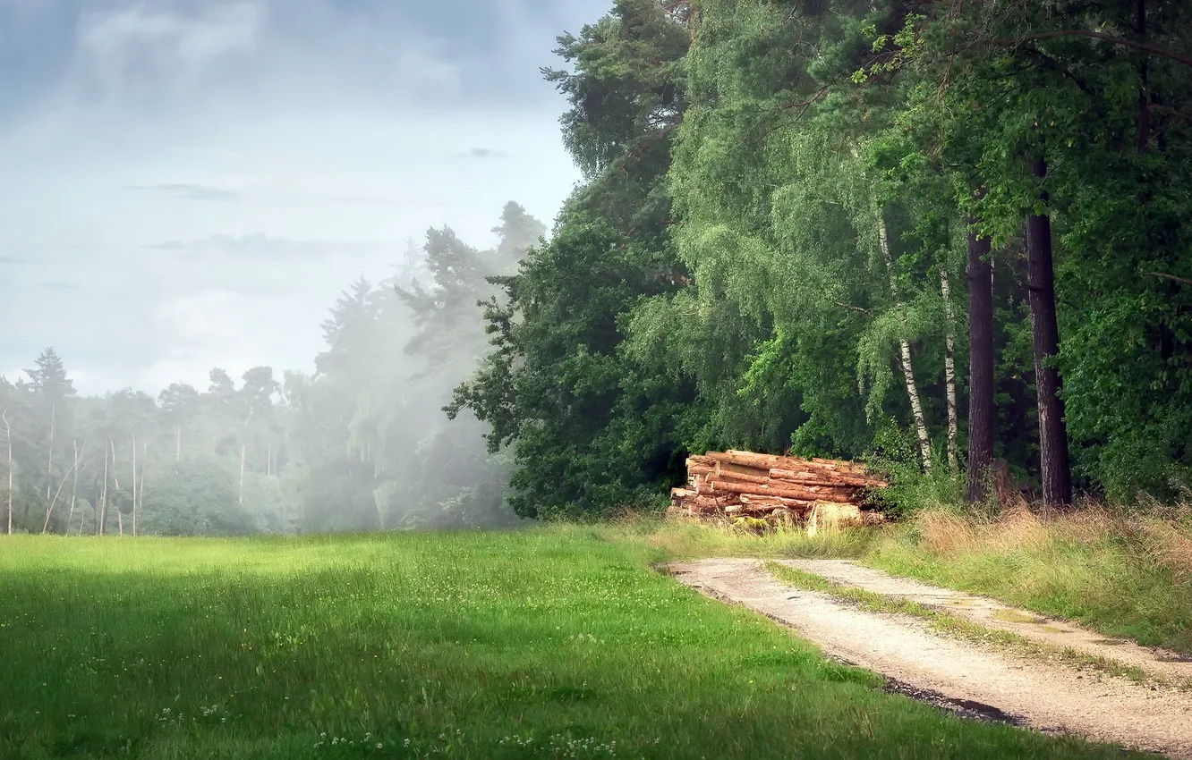 Photo wallpaper road, forest, summer
