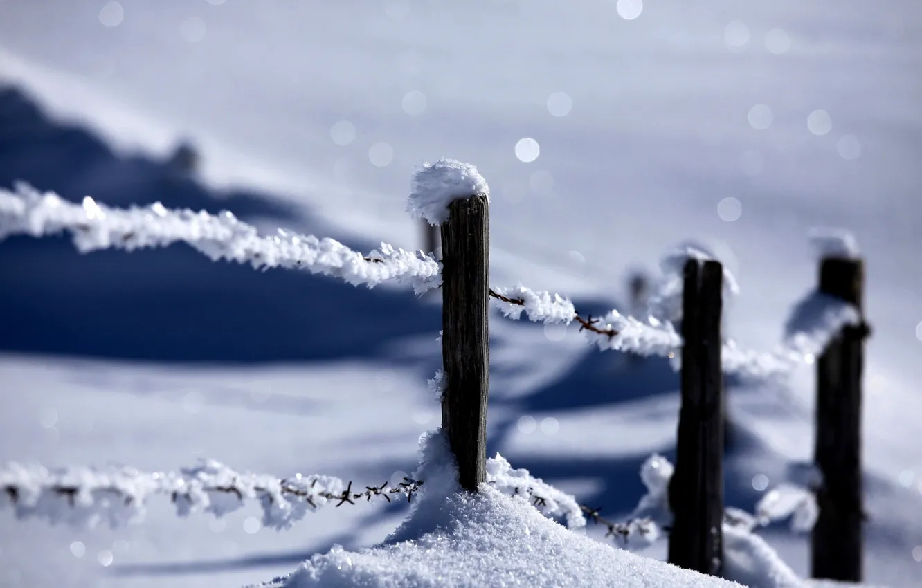 Photo wallpaper winter, snow, nature, the fence, nature, winter, snow, fence