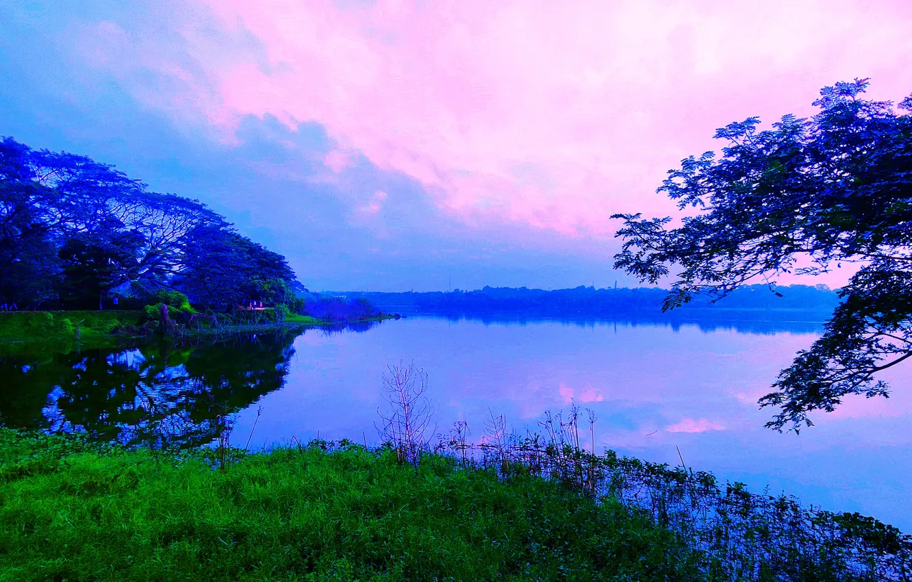 Photo wallpaper grass, water, plants, dawn, woods, sunrise, sky, lake