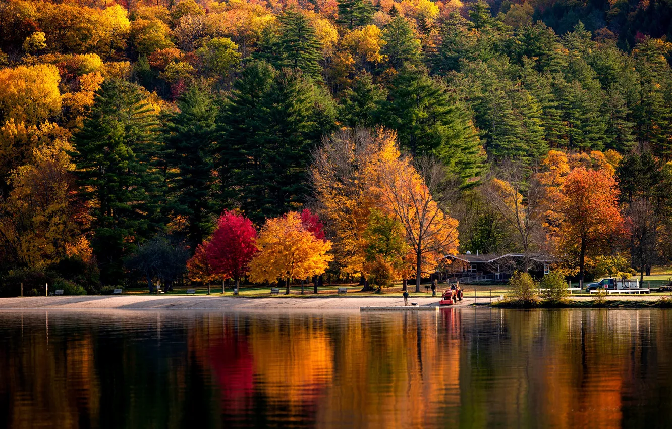 Photo wallpaper autumn, forest, the sun, trees, river, shore, USA, Vermont