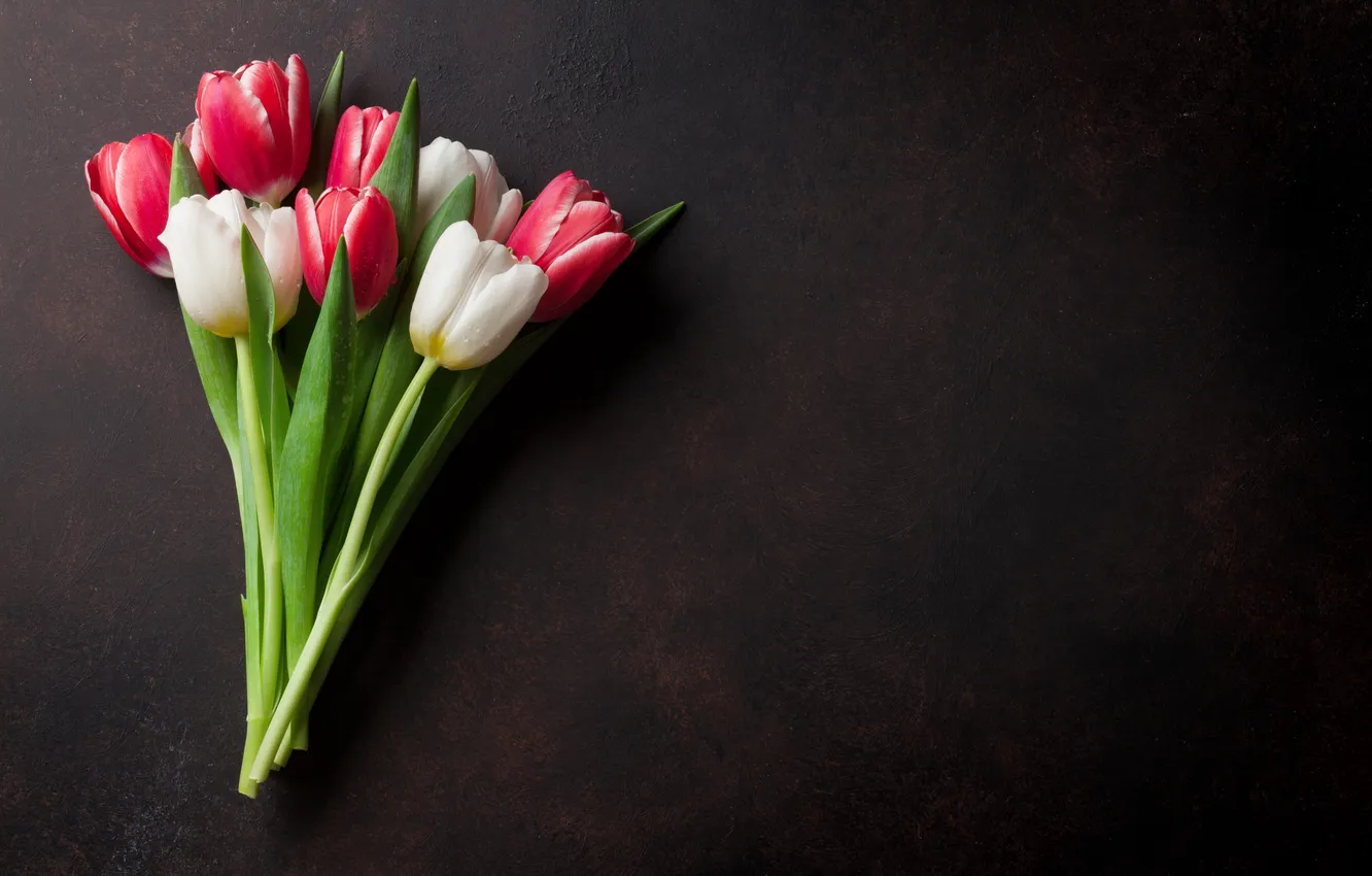 Photo wallpaper flowers, bouquet, tulips, red, white, flowers, tulips, spring