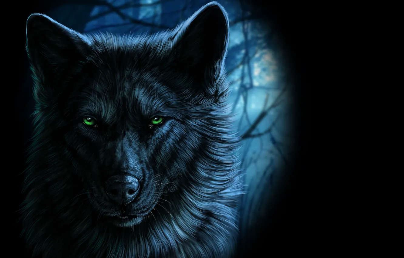 Photo wallpaper look, wolf, art, green eyes, wolfroad
