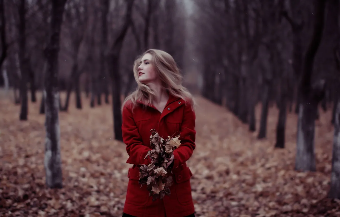 Photo wallpaper autumn, forest, girl, mood