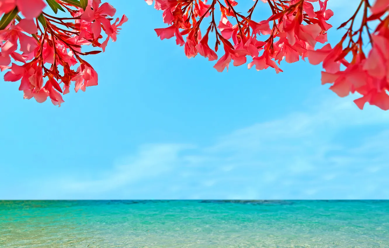 Photo wallpaper sea, the sky, landscape, flowers