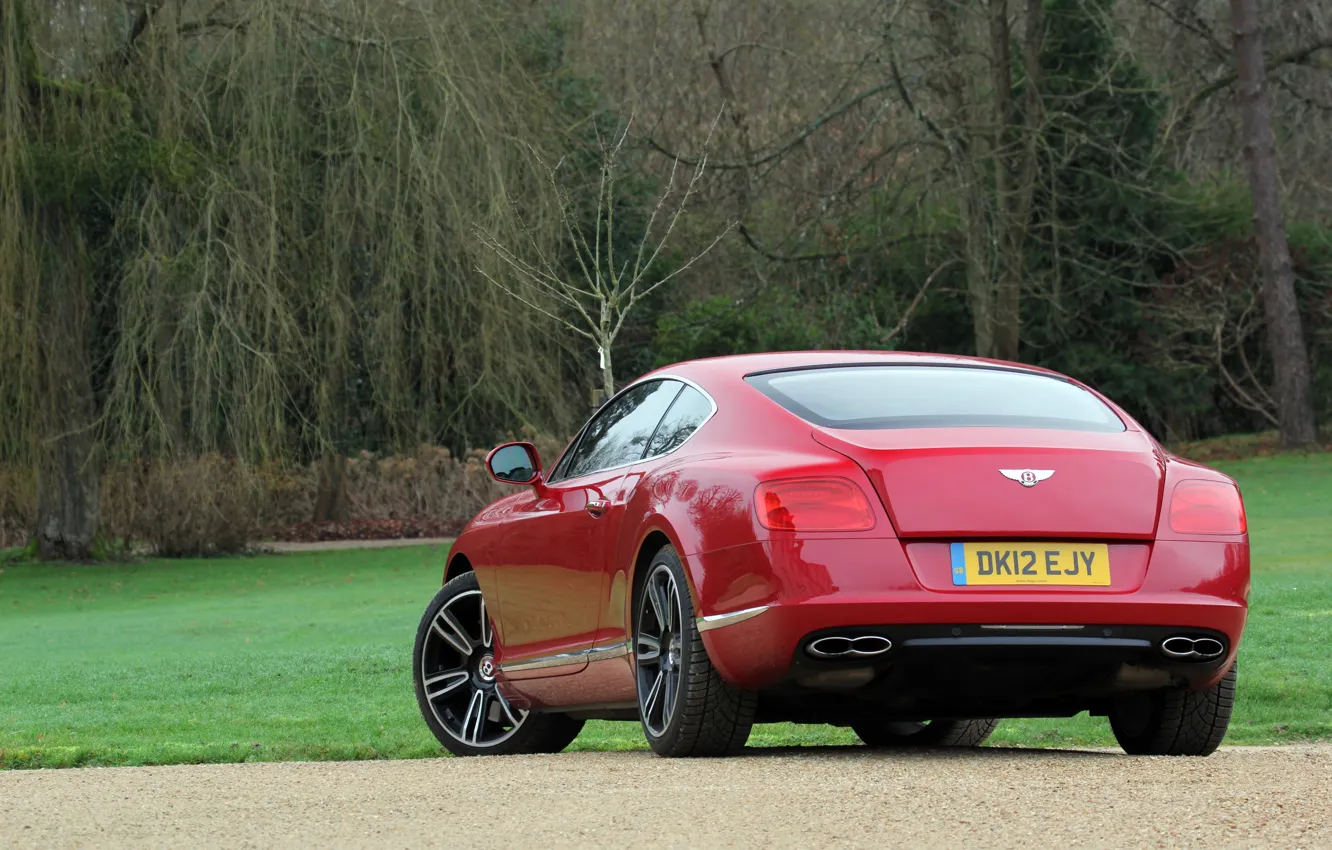 Photo wallpaper grass, trees, red, Bentley, red, grass, continental, tree