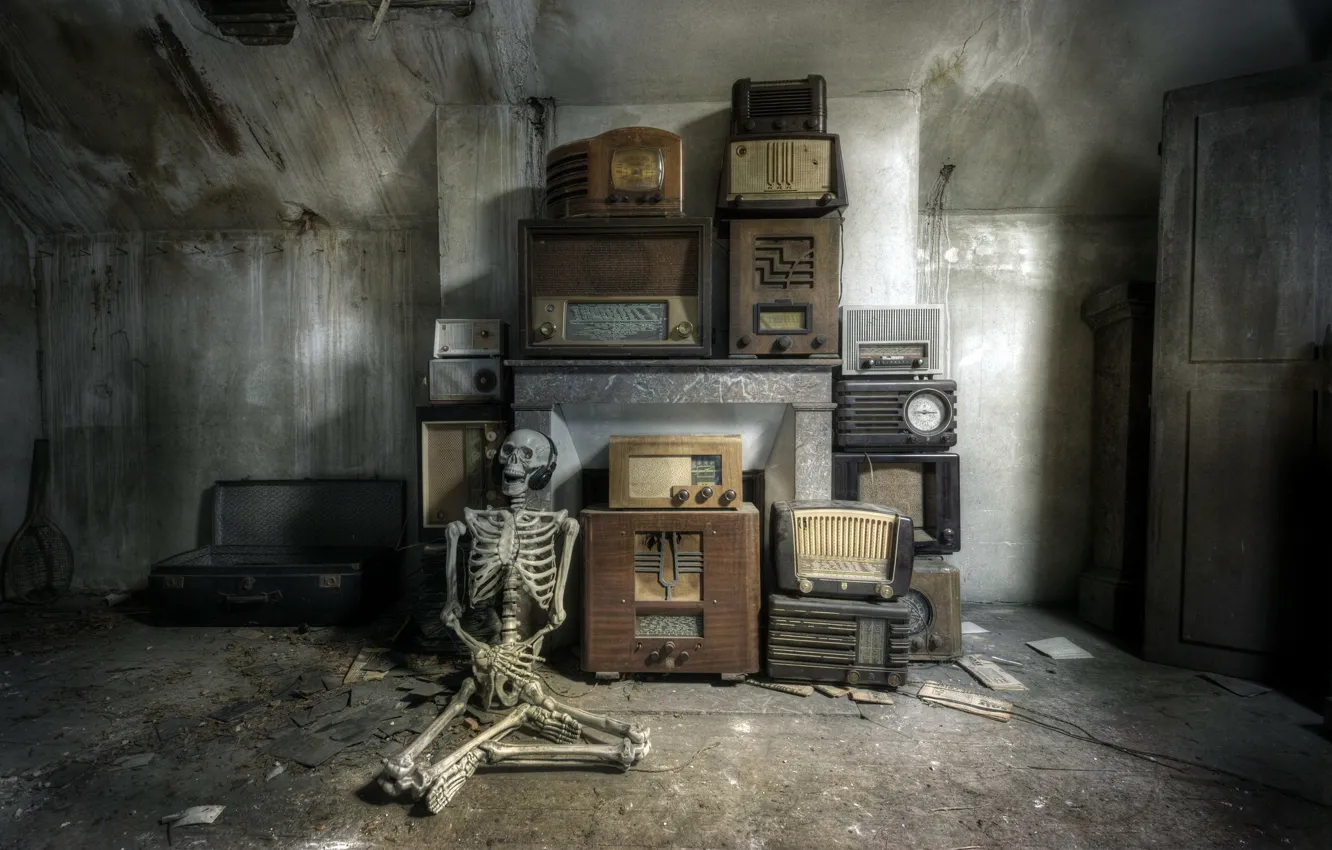 Photo wallpaper radio, skeleton, Meloman, receivers