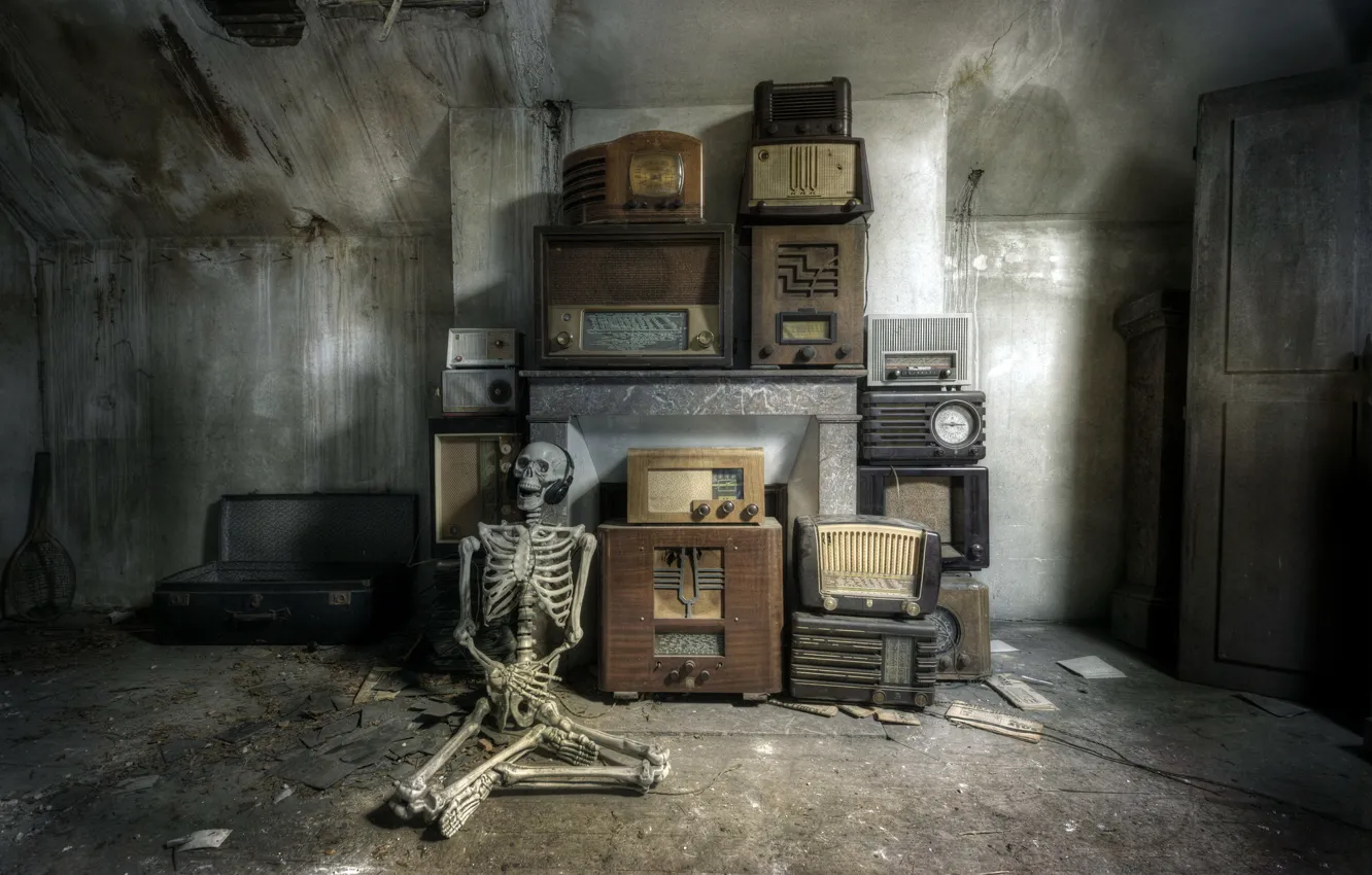 Photo wallpaper radio, skeleton, receiver, Meloman