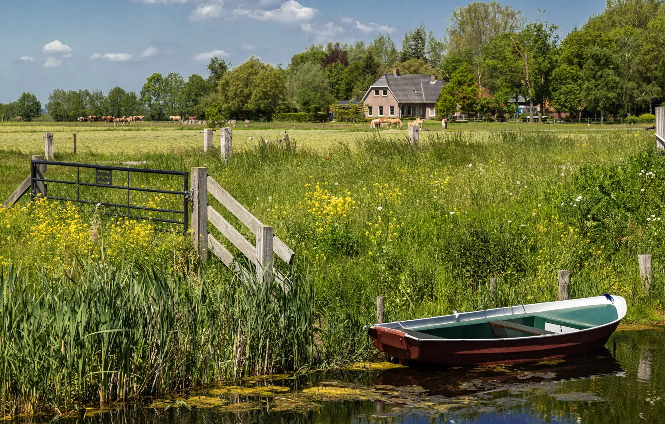 Photo wallpaper summer, grass, lake, pond, horse, shore, boat, the fence