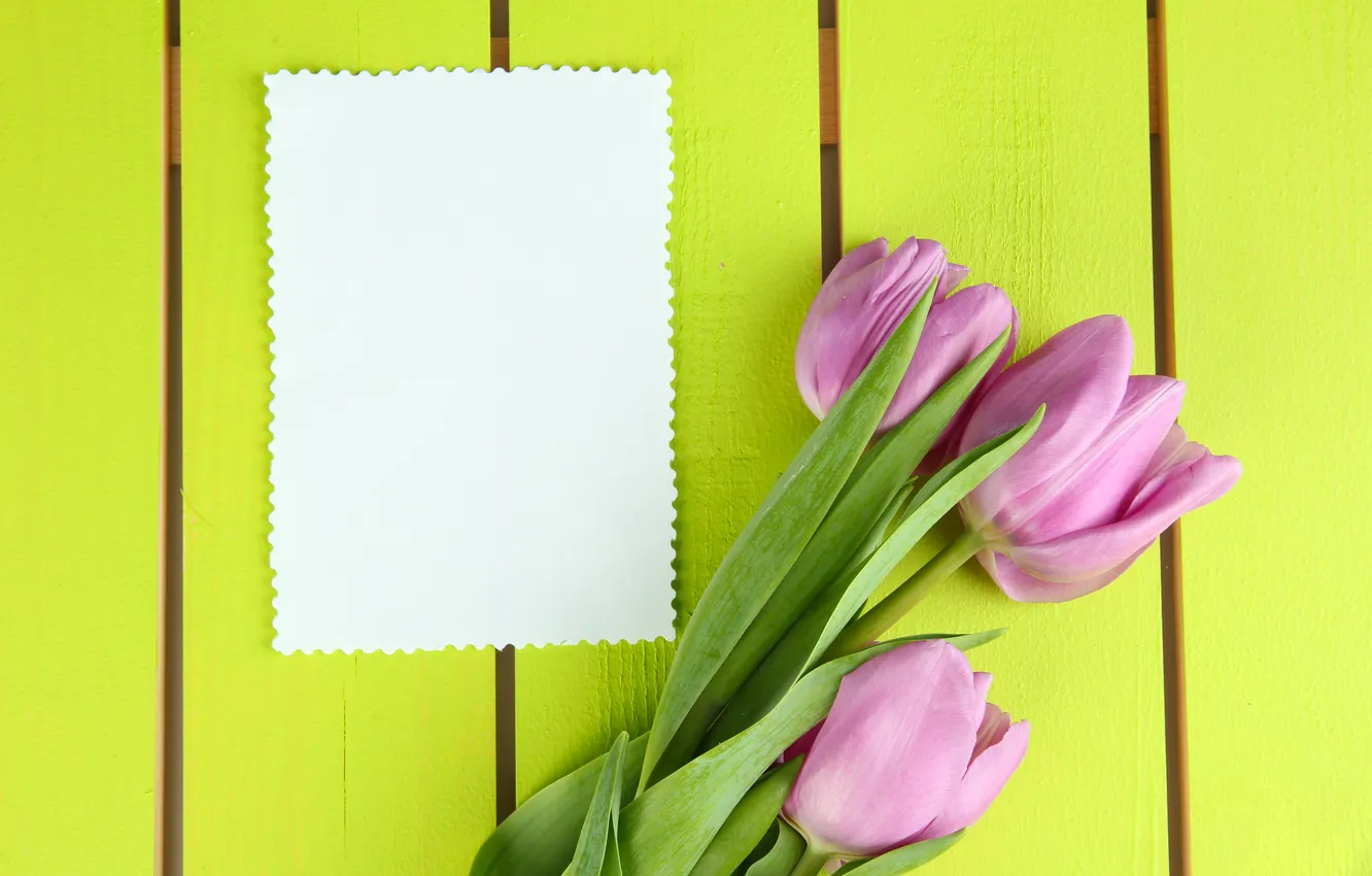 Photo wallpaper flowers, bouquet, tulips, pink, wood, pink, flowers, beautiful