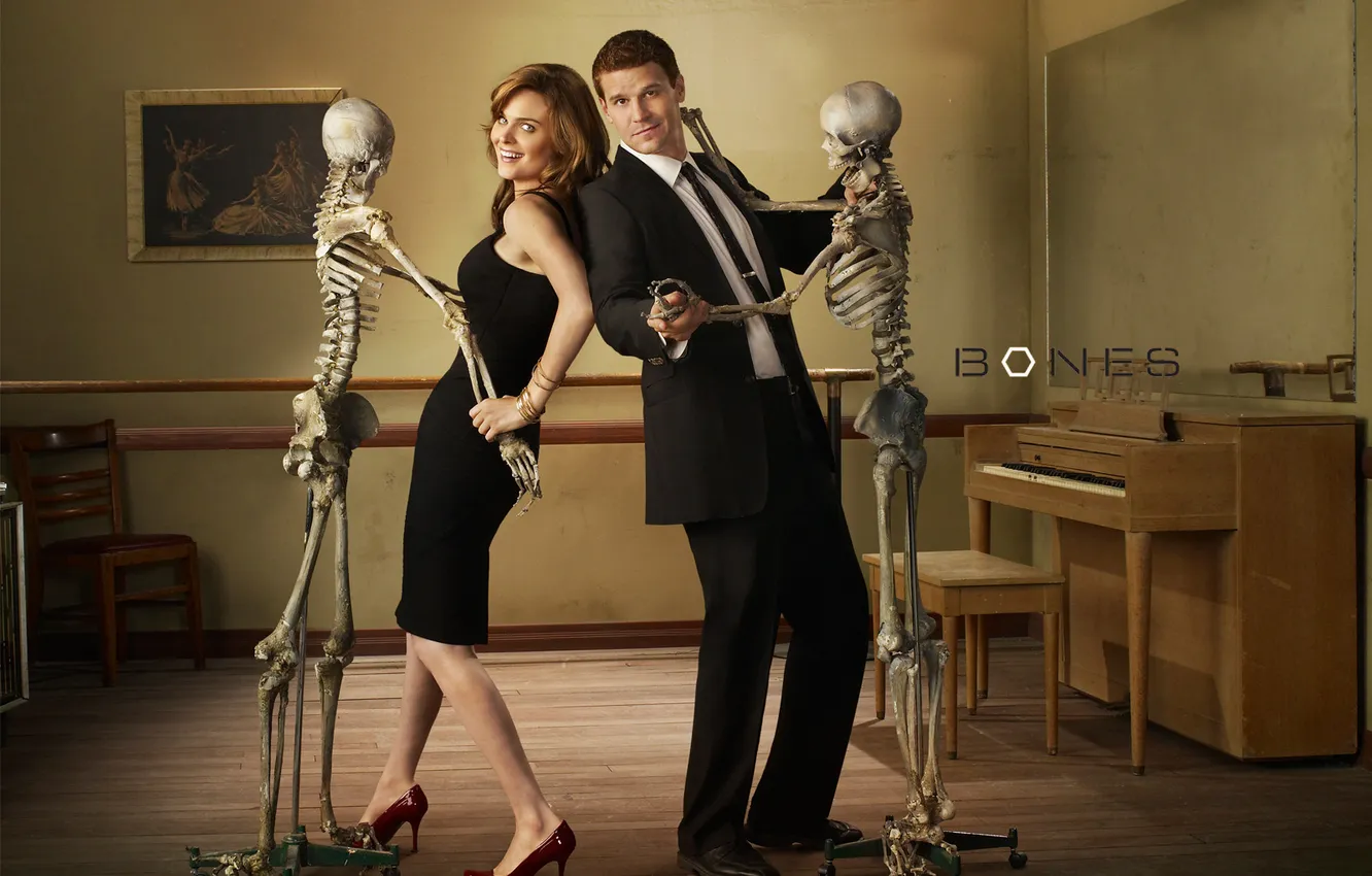 Photo wallpaper bones, Boreanaz, Dechanel