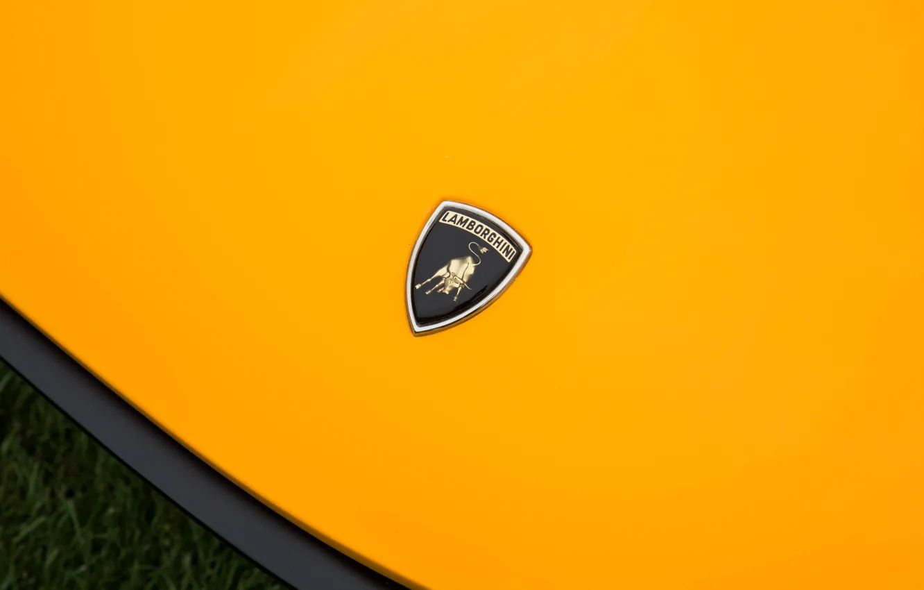 Photo wallpaper Auto, Lamborghini, Machine, Classic, Logo, Orange, Logo, Car