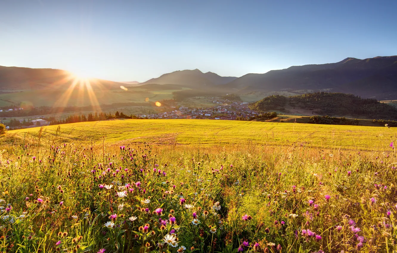 Photo wallpaper field, the sky, grass, the sun, rays, trees, flowers, mountains