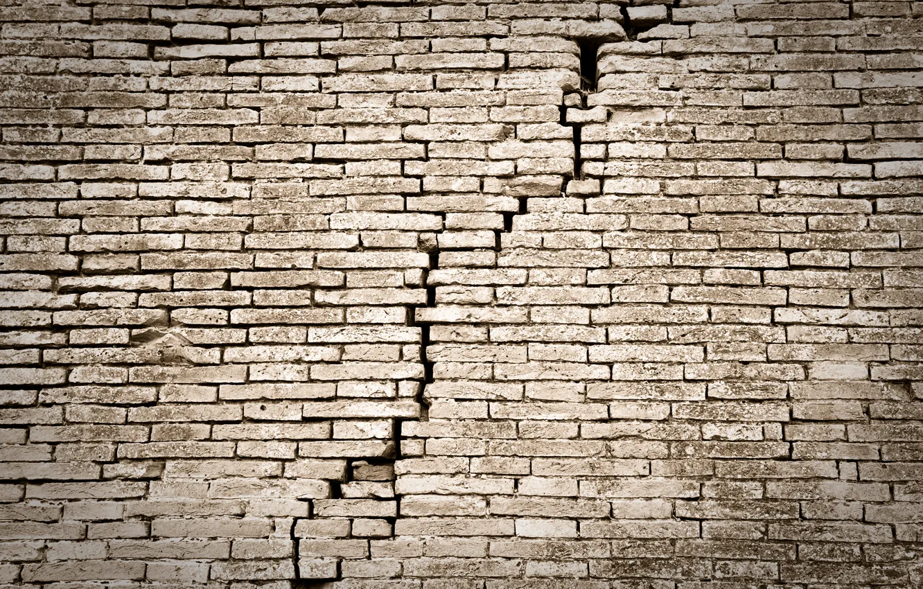 Photo wallpaper wall, bricks, ruins, lack of maintenance
