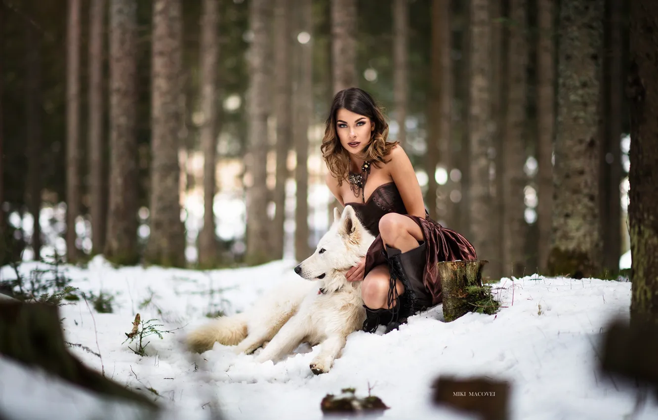 Photo wallpaper winter, forest, girl, snow, wolf, dog, dress