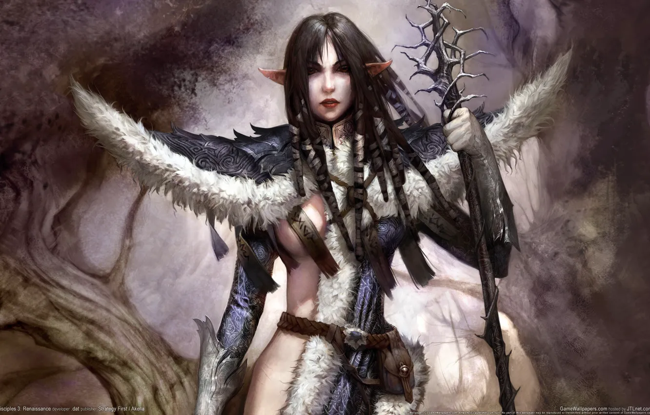 Photo wallpaper girl, fiction, elf, MAG, staff, elf, disciples, Disciples