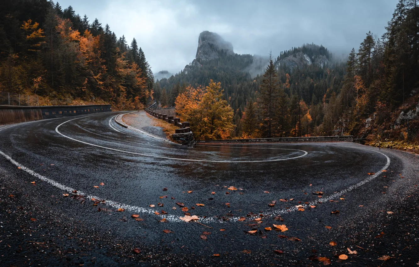 Photo wallpaper road, autumn, nature