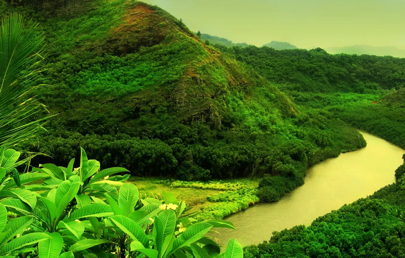 Photo wallpaper greens, river, mountain