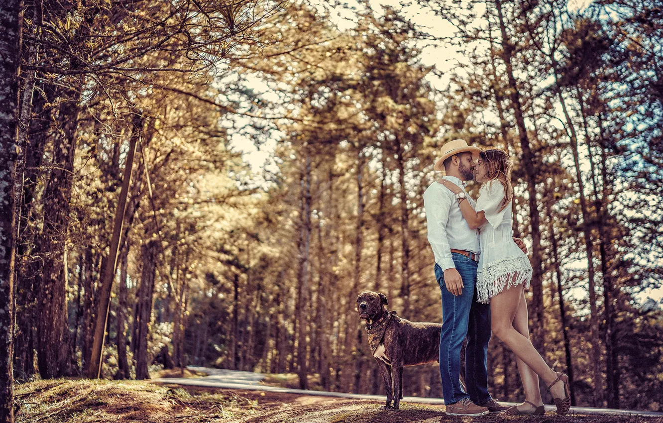 Photo wallpaper road, forest, girl, pose, dog, hugs, pair, male