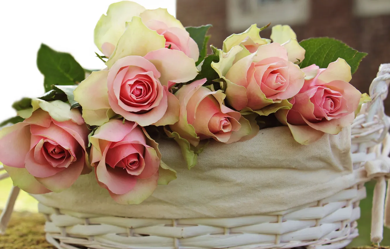 Photo wallpaper leaves, flowers, background, home, roses, bouquet, petals, fabric