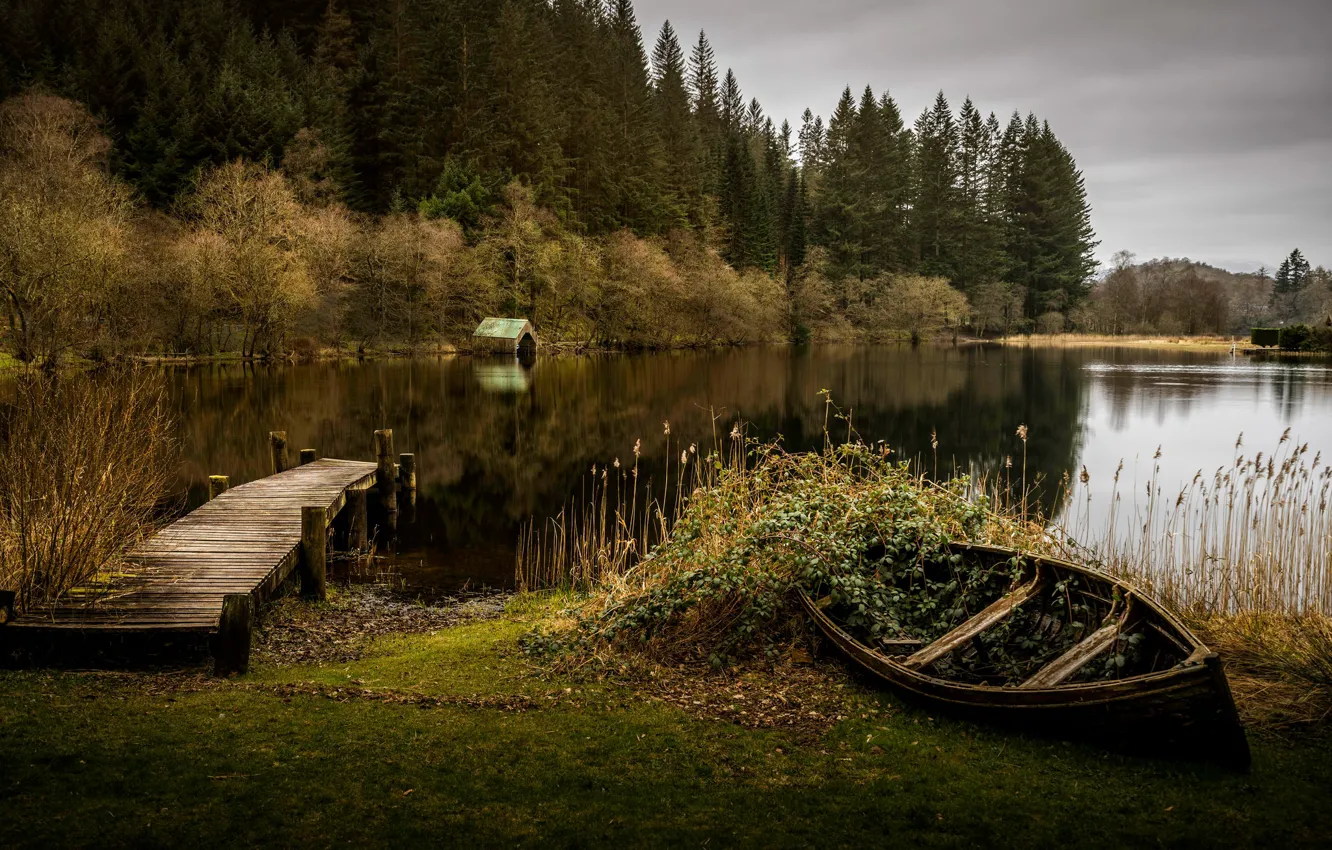Photo wallpaper autumn, forest, the sky, overcast, shore, vegetation, boat, ate