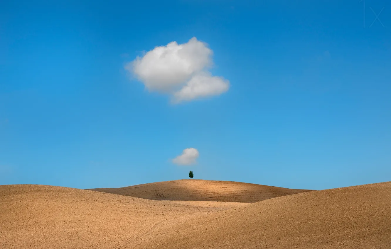 Photo wallpaper field, clouds, tree, field, clouds, tree, Tuscany, Tuscany