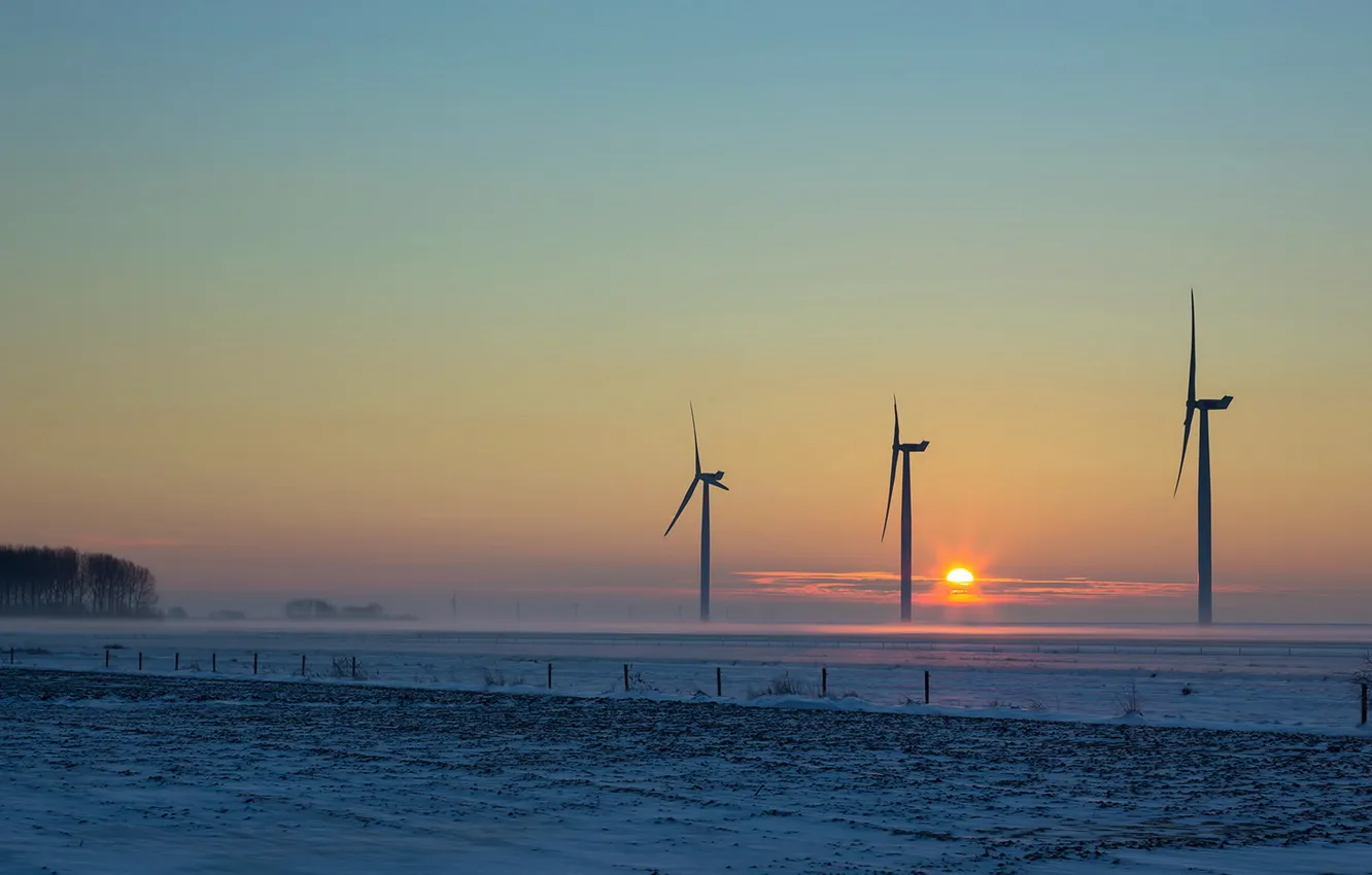Photo wallpaper field, sunset, windmills