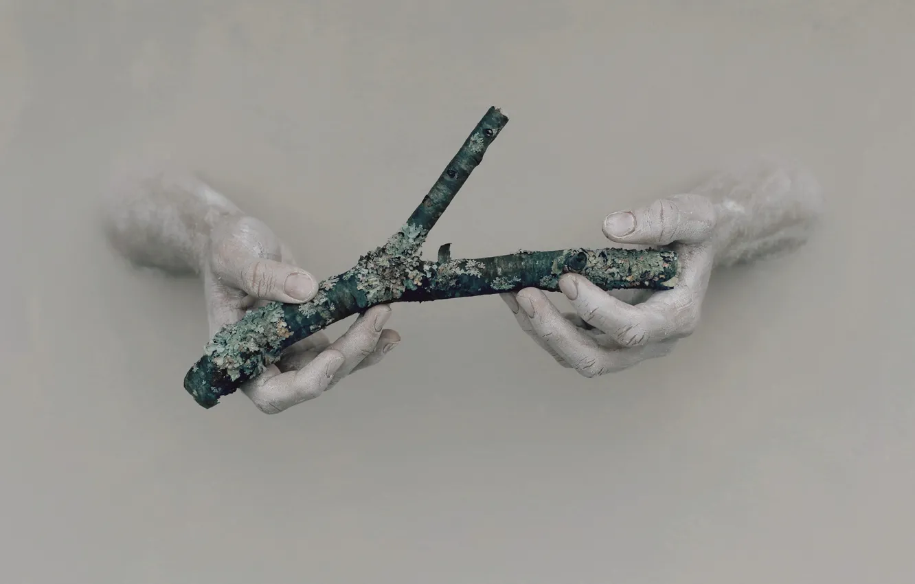 Photo wallpaper trees, background, hands