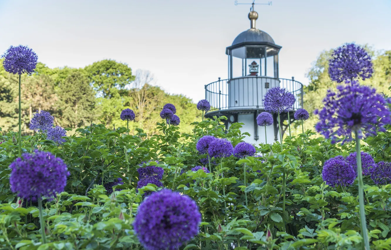 Photo wallpaper summer, flowers, nature, the city, Park