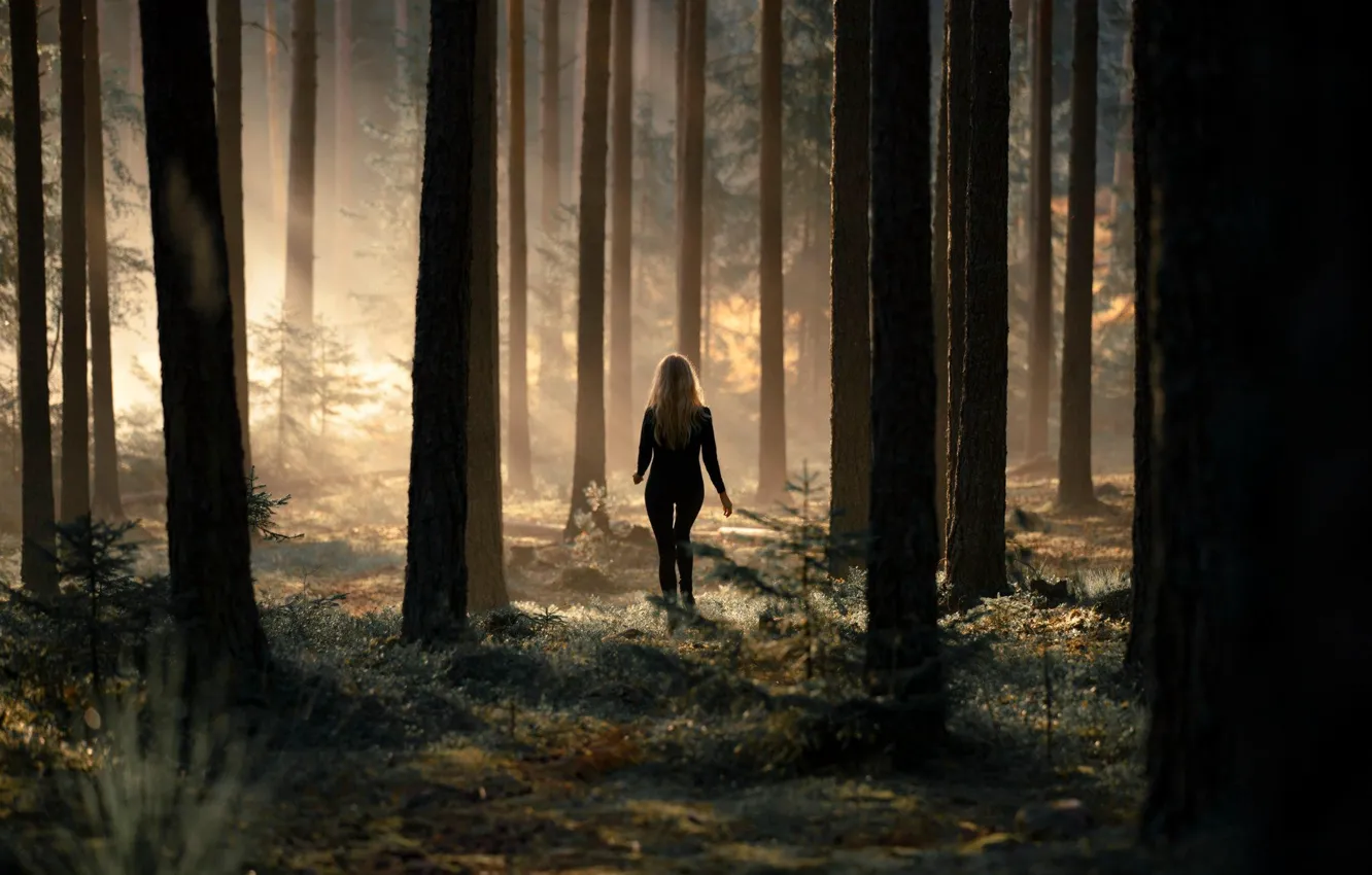 Photo wallpaper forest, girl, nature, blonde