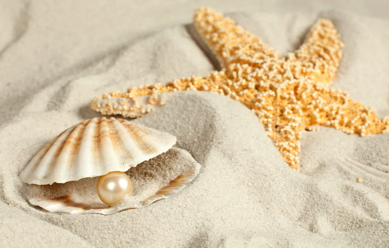 Photo wallpaper sand, shell, starfish, pearl