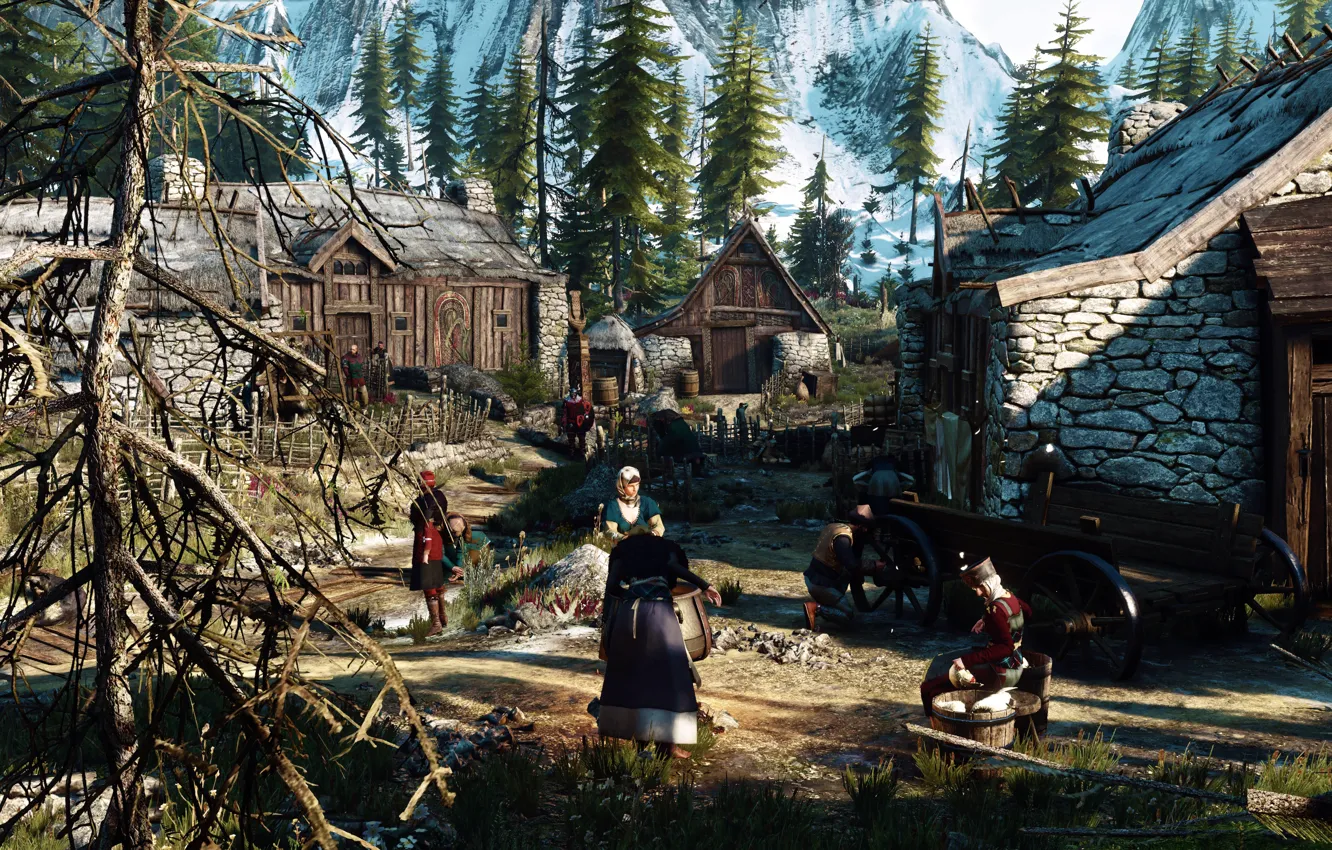 Photo wallpaper village, The Witcher, The Witcher 3, Ious