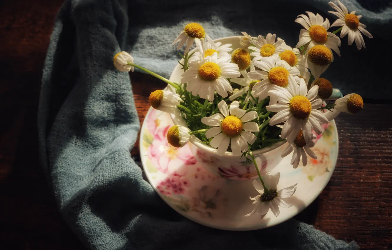 Photo wallpaper light, flowers, table, chamomile, bouquet, Cup, fabric, white