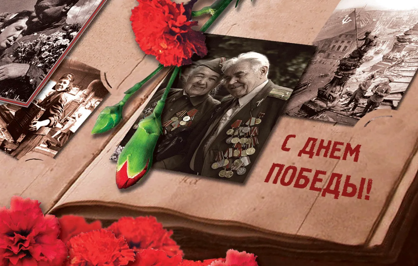 Photo wallpaper flowers, photo, May 9, album, victory day
