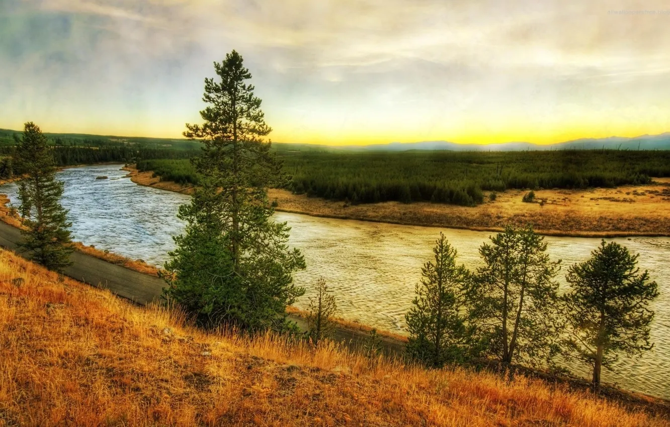 Photo wallpaper road, grass, trees, yellow, river, shore