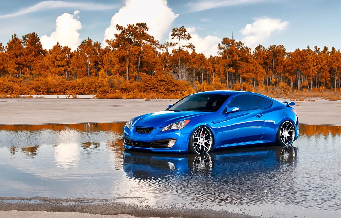 Photo wallpaper trees, puddle, cars, Hyundai, cars, auto wallpapers, car Wallpaper, auto photo