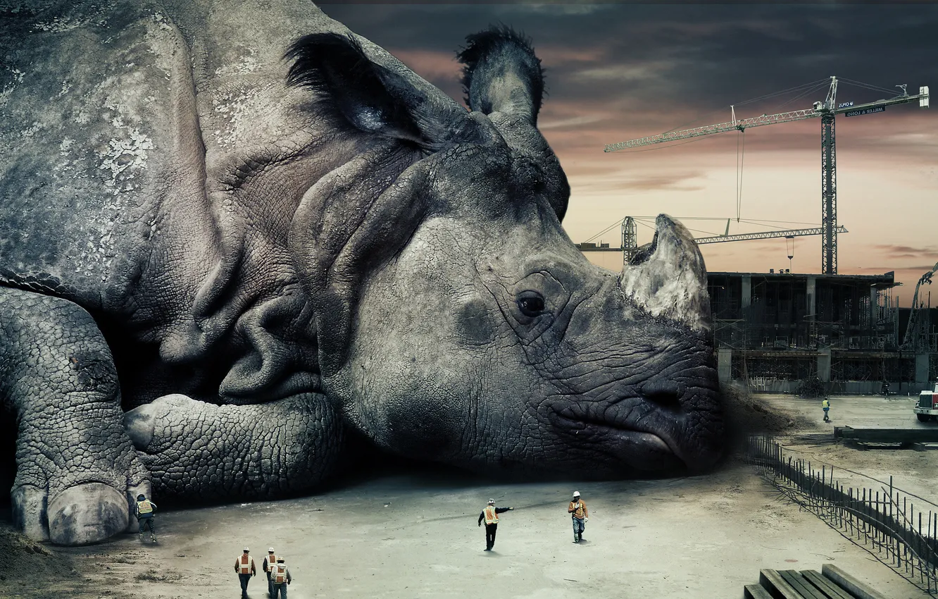 Photo wallpaper construction, giant, Rhino, builders