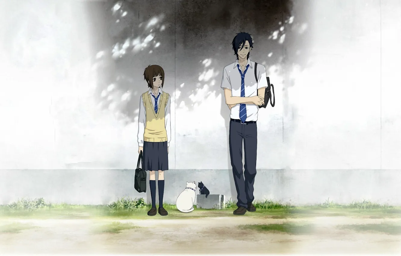 Photo wallpaper cat, girl, guy, school, Suki-tte Ii na yo, Kurosawa Yamato, Tachibana Mei