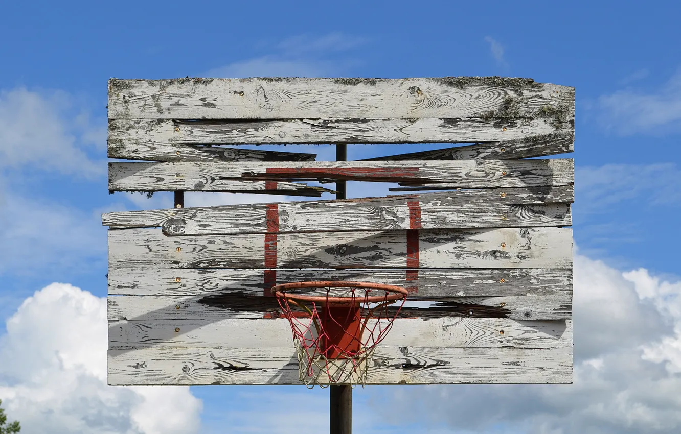 Photo wallpaper basket, shield, basketball