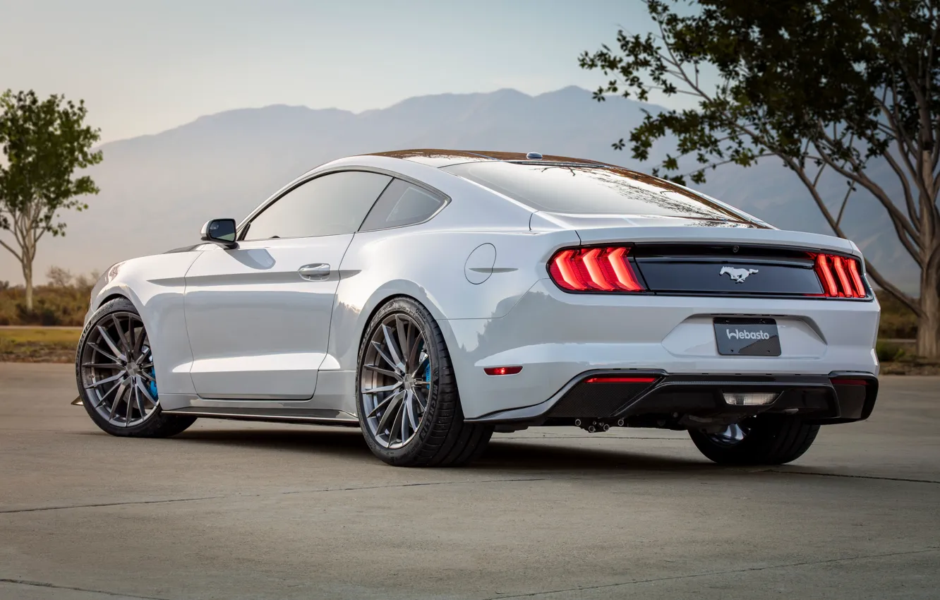 Photo wallpaper Concept, Mustang, Ford, rear view, Lithium, 2019, SEMA 2019