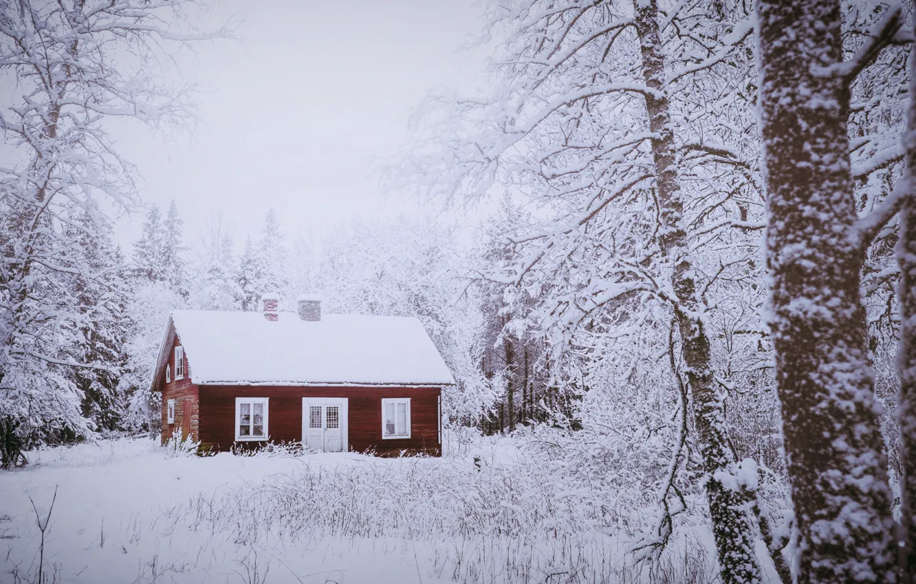 Photo wallpaper winter, forest, house