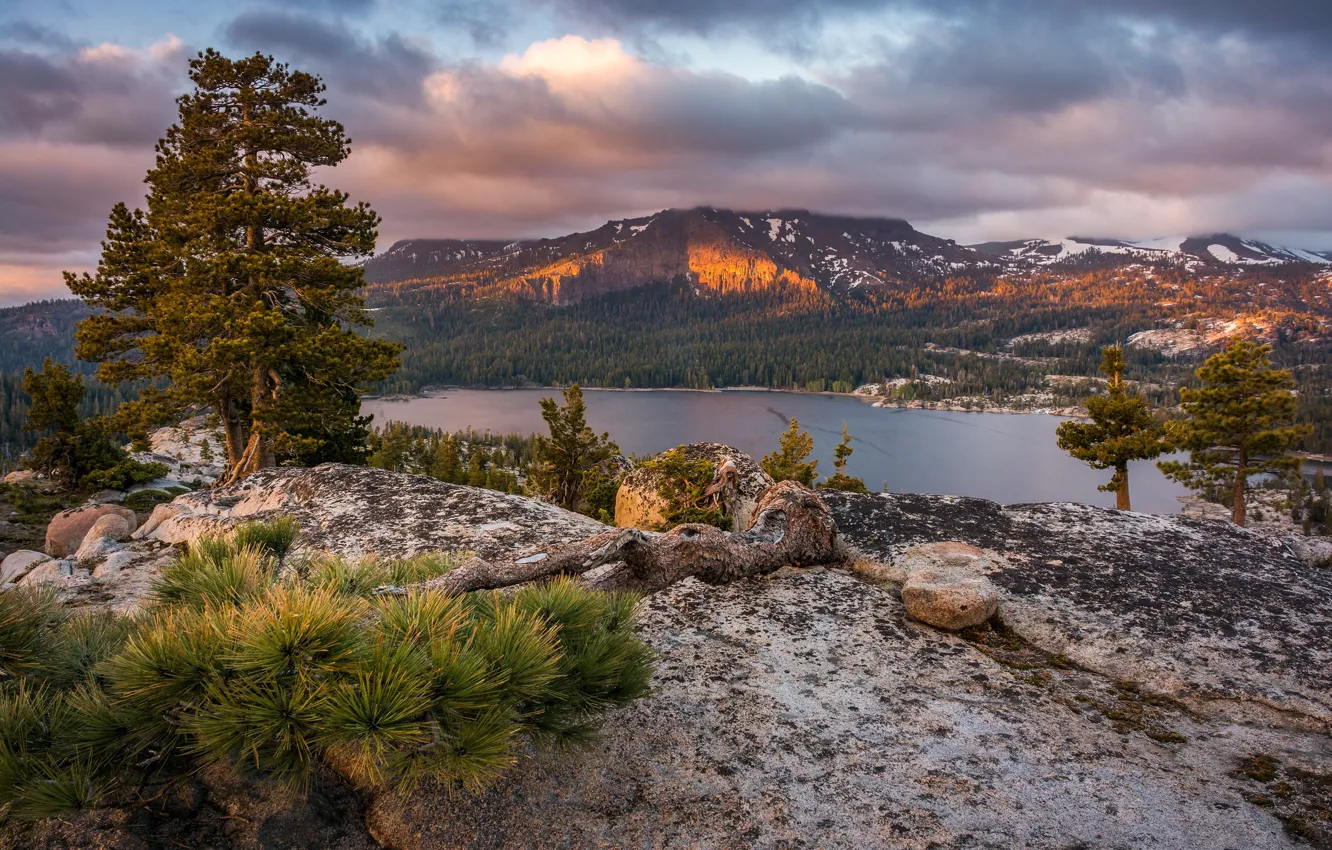 Photo wallpaper trees, mountains, lake, CA, pine, California, Sierra Nevada, Sierra Nevada