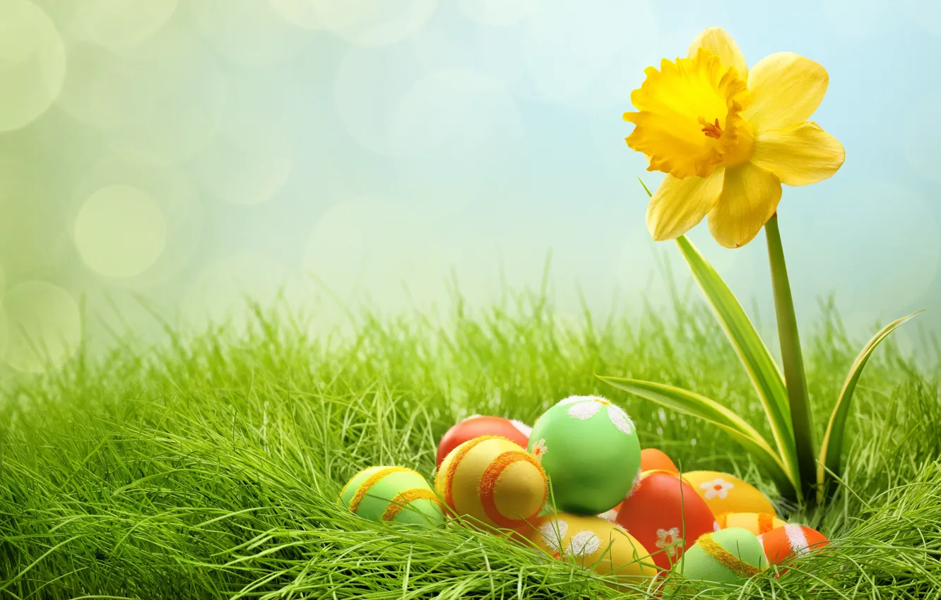 Photo wallpaper grass, eggs, Easter, daffodils, bokeh, Easter