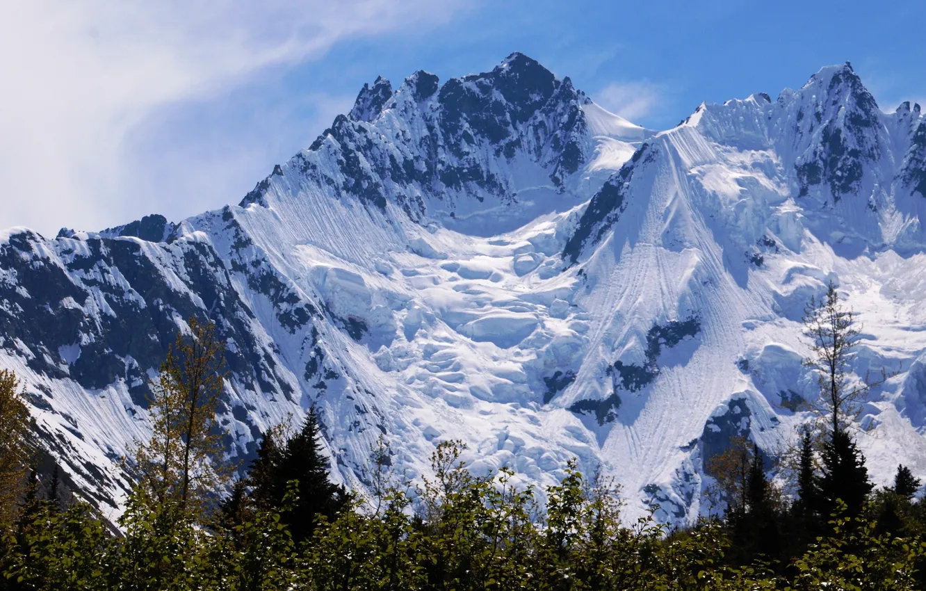 Photo wallpaper winter, forest, the sky, clouds, snow, trees, landscape, mountains