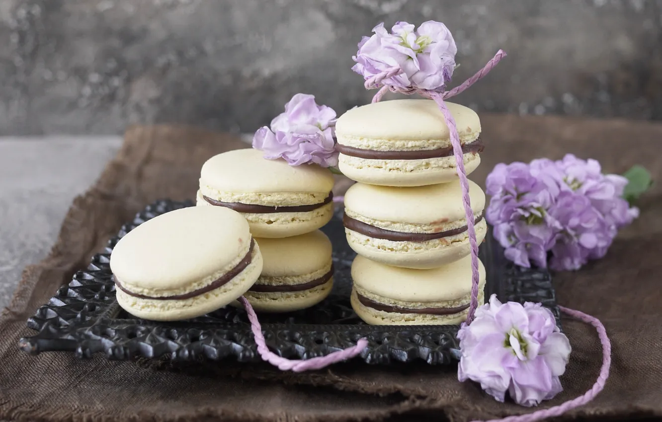 Photo wallpaper flowers, flowers, violet, macaron, macaroon