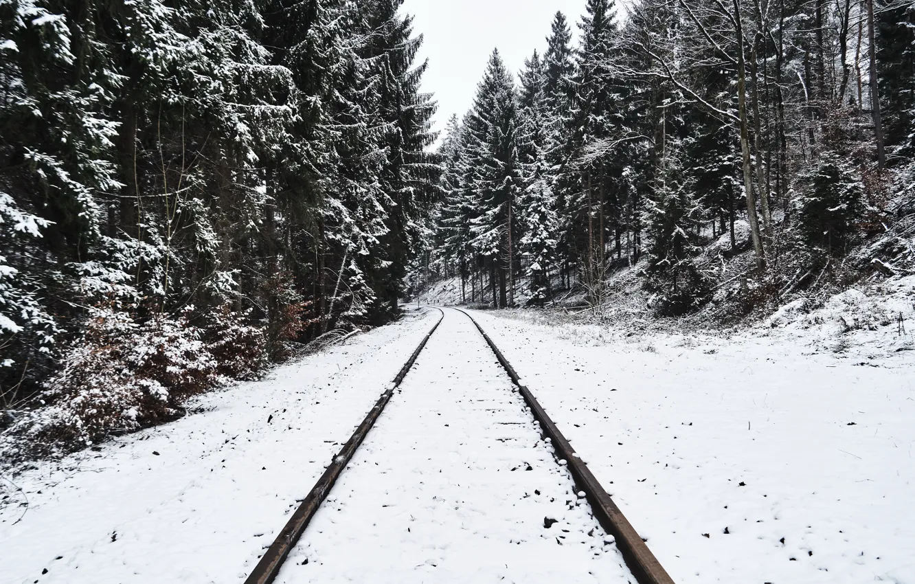 Photo wallpaper winter, forest, snow, railroad