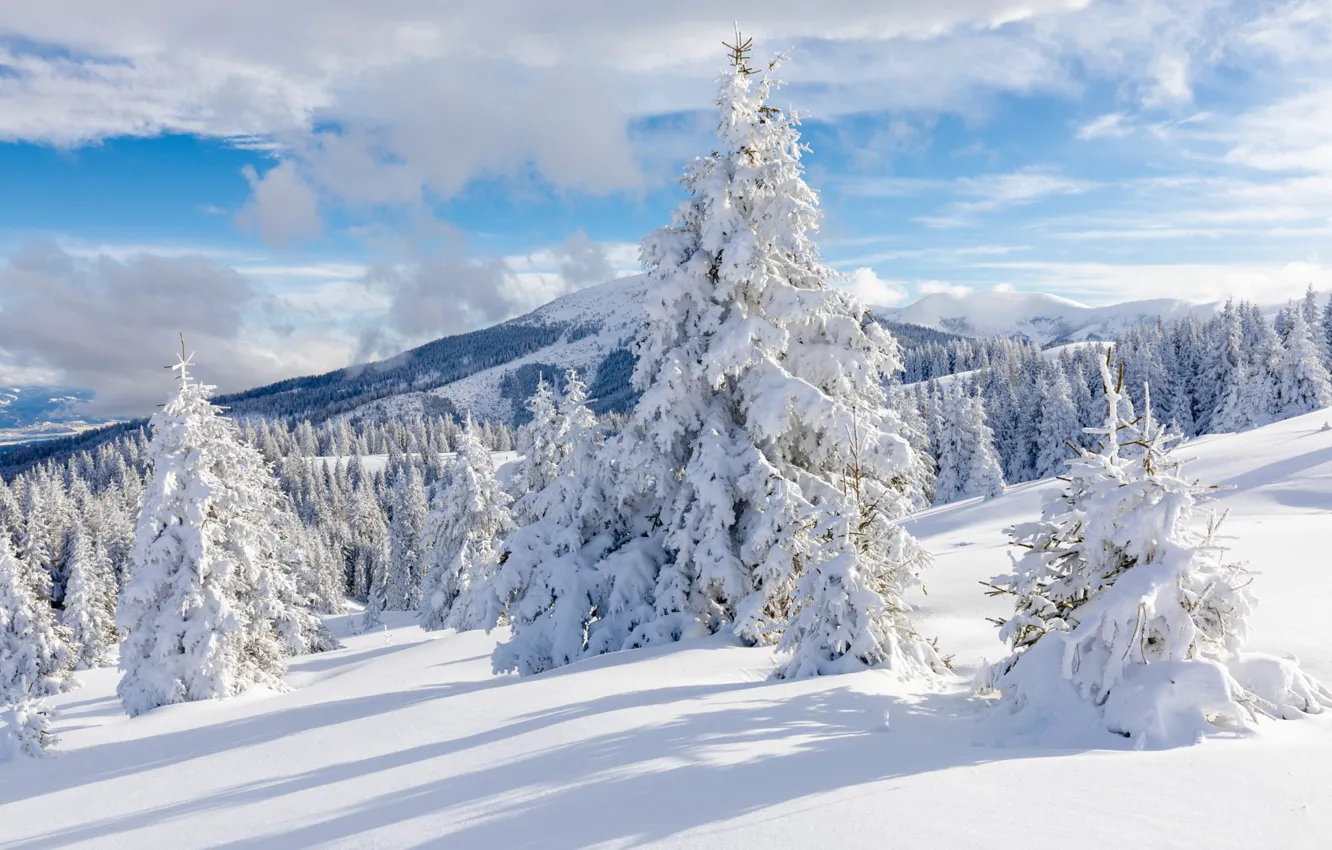 Photo wallpaper winter, frost, forest, the sky, clouds, light, snow, mountains